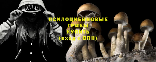 гашишное масло Гусев