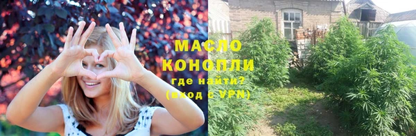 шишки Горно-Алтайск