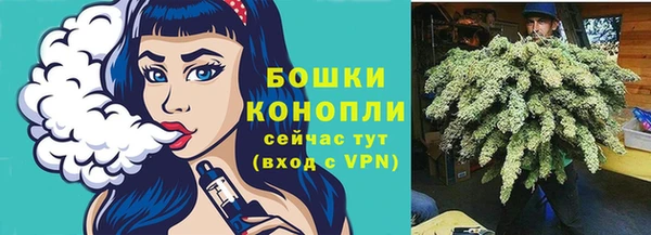 молекула духа Гусиноозёрск