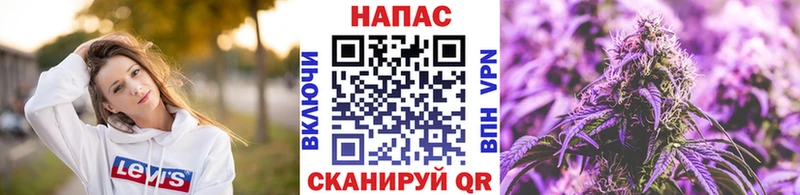 Купить закладки  Чернушка  Бошки марихуана VHQ 